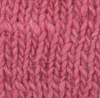FFSPbrownlace
