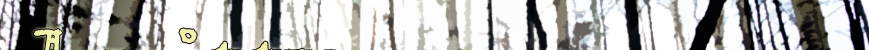 Top Banner