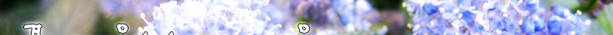 Top Banner