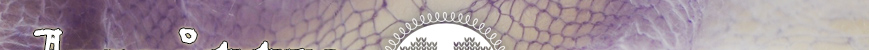 Top Banner